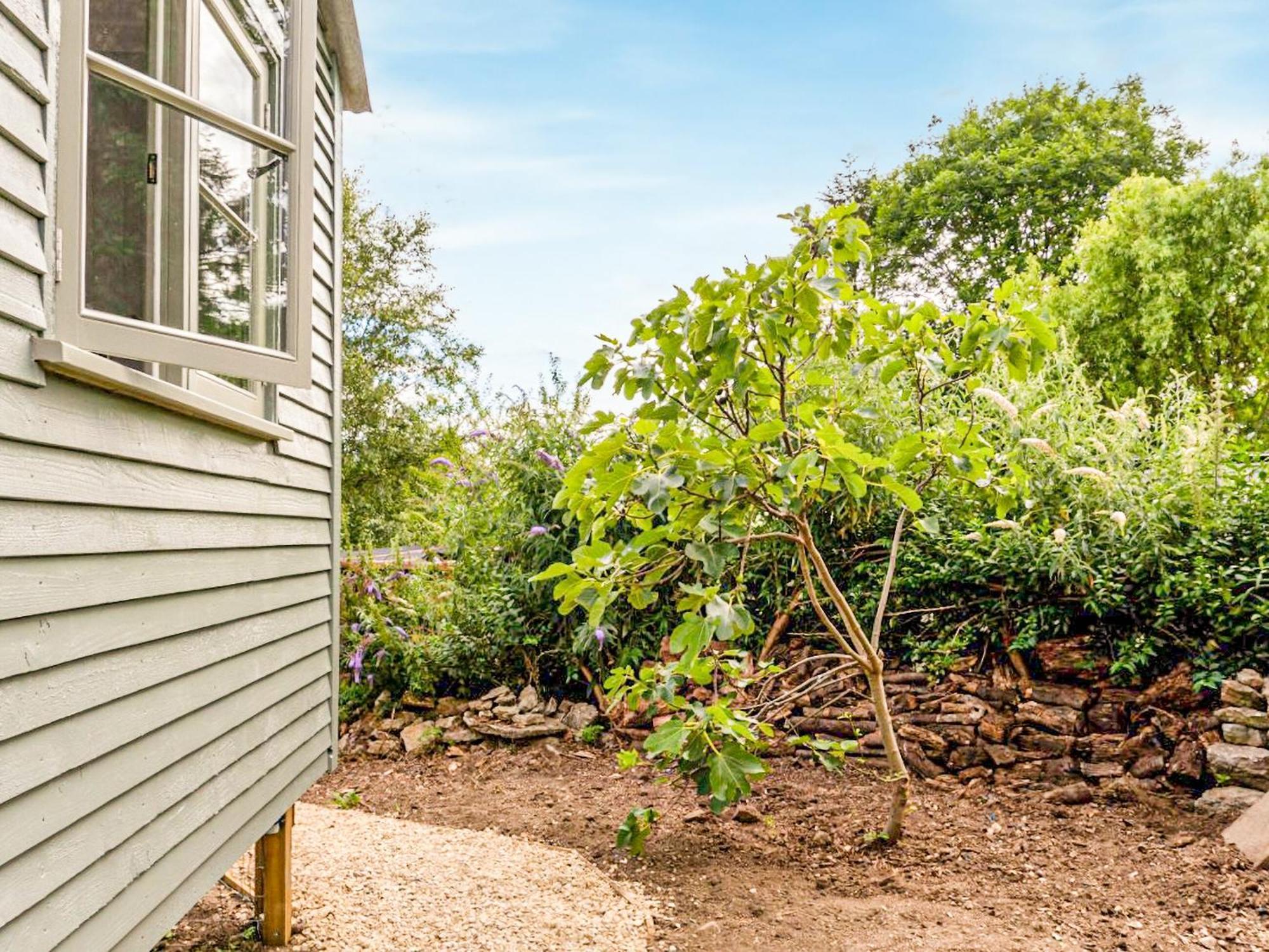 Fig Tree Shepherds Hut บริดพอร์ต ภายนอก รูปภาพ